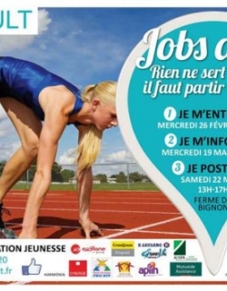 PIJ Orvault Job d&#039;été