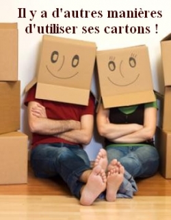 Meuble en carton