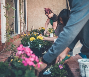 Troisième Prépa-apprentissage_photo Unsplash_https://unsplash.com/@neonbrand Troisième Prépa-apprentissage_photo Unsplash_https://unsplash.com/@neonbrand