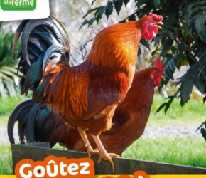 Goûtez l'Automne 2017 Goûtez l'Automne 2017