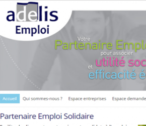 Adelis lance son nouveau site emploi ! Adelis lance son nouveau site emploi !