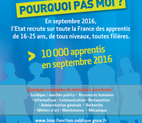 Apprentissage dans la fonction publique Apprentissage dans la fonction publique