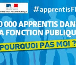 Apprentissage fonction publique_Académie de Nantes_Septembre 2016 Apprentissage fonction publique_Académie de Nantes_Septembre 2016