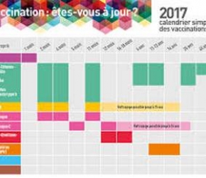 Calendrier des vaccinations et des recommandations vaccinales 2017