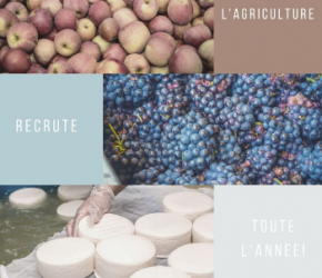 #Oselagriculture : ça recrute toujours ! #Oselagriculture : ça recrute toujours !