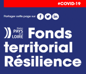 Plateforme du Fonds Résilience : la Région aides les petites entreprises Plateforme du Fonds Résilience : la Région aides les petites entreprises