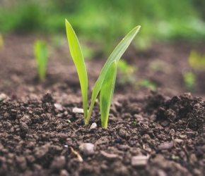 Chambre d'Agriculture Pays de la Loire_Information et orientation métiers agricoles_https://formation-pays-de-la-loire.chambres-agriculture.fr/metiers-et-emplois/venir-sur-le-terrain-decouvrir-les-metiers/ Chambre d'Agriculture Pays de la Loire_Information et orientation métiers agricoles_https://formation-pays-de-la-loire.chambres-agriculture.fr/metiers-et-emplois/venir-sur-le-terrain-decouvrir-les-metiers/