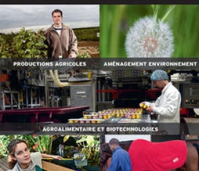Le Savoir vert édition 2016_ONISEP et DRAAF Pays de la Loire Le Savoir vert édition 2016_ONISEP et DRAAF Pays de la Loire