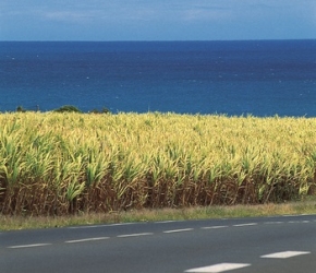 Objectif vacances: aide au départ en vacances en Pays de la Loire Objectif vacances: aide au départ en vacances en Pays de la Loire