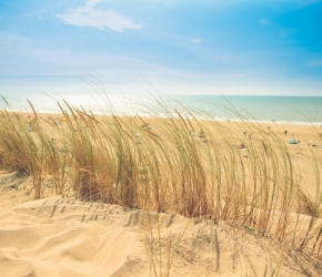 Réduction -50% Nantes <> Plages Vendée en car avec Libertan Réduction -50% Nantes <> Plages Vendée en car avec Libertan
