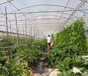 Une nouvelle plateforme pour aider les agriculteurs en manque de main d'oeuvre Une nouvelle plateforme pour aider les agriculteurs en manque de main d'oeuvre