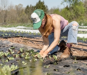 Aide à la recherche d'un emploi _ MSA Maine et Loire - Crédits photo : <span>Photo by <a href="https://unsplash.com/@dirtjoy?utm_source=unsplash&amp;utm_medium=referral&amp;utm_content=creditCopyText">Zoe Schaeffer</a> on <a href="https://unsplash.com/s/p