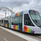 Prendre le bus, le tramway à Angers