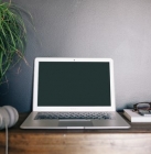 Le CV en ligne