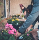 Troisième Prépa-apprentissage_photo Unsplash_https://unsplash.com/@neonbrand