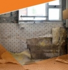 Que faire en situation de mal logement ?