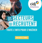 "Ces secteurs qui recrutent" Le guide incontournable dans sa recherche d'emploi