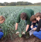 Emplois saisonniers agricoles : ça recrute en Loire Atlantique et en Vendée