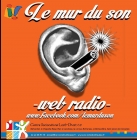 Mur du Son - PIJ Loire Divatte