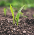 Chambre d'Agriculture Pays de la Loire_Information et orientation métiers agricoles_https://formation-pays-de-la-loire.chambres-agriculture.fr/metiers-et-emplois/venir-sur-le-terrain-decouvrir-les-metiers/