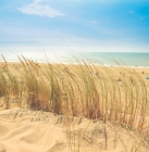 Réduction -50% Nantes <> Plages Vendée en car avec Libertan