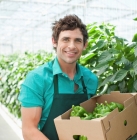 loi travail et emplois saisonniers ©iStock.com/OJO_Images