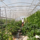Une nouvelle plateforme pour aider les agriculteurs en manque de main d'oeuvre