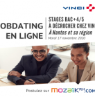 Vinci recrute ses futurs stagiaires à Nantes